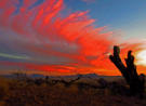 Sunset          Ft Davis, TX